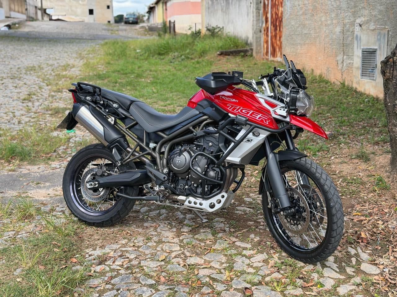 Imagem da campanha Tiger 800 XCA 2019